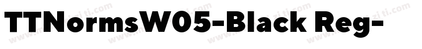 TTNormsW05-Black Reg字体转换